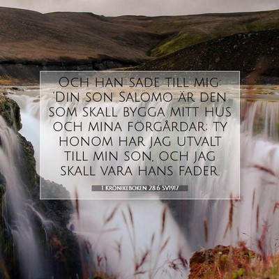 1 Krönikeboken 28:6 Bibelvers Förklarad