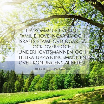 1 Krönikeboken 29:6 SV1917 Bild av bibelvers