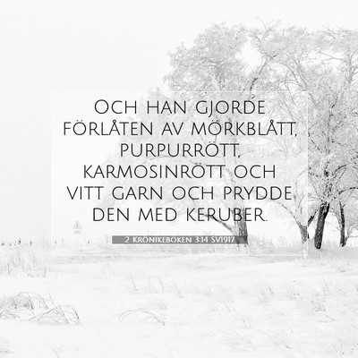 2 Krönikeboken 3:14 Bibelvers Förklarad