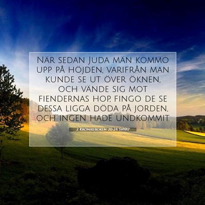 2 Krönikeboken 20:24 Bibelvers Förklarad