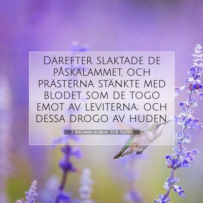 2 Krönikeboken 35:11 SV1917 Bild av bibelvers