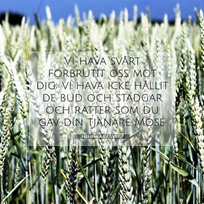 Nehemja 1:7 Bibelvers Förklarad
