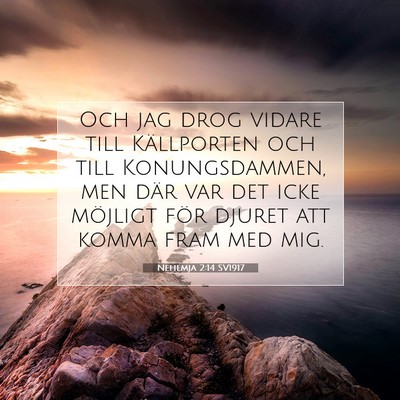 Nehemja 2:14 Bibelvers Förklarad