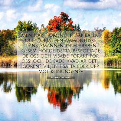 Nehemja 2:19 SV1917 Bild av bibelvers