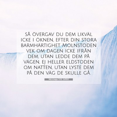 Nehemja 9:19 SV1917 Bild av bibelvers