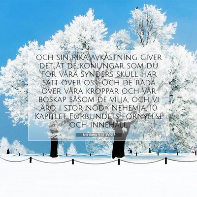 Nehemja 9:37 SV1917 Bild av bibelvers