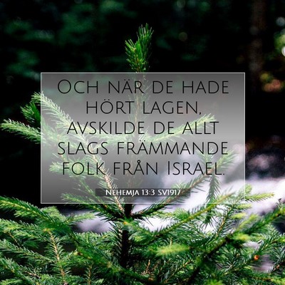 Nehemja 13:3 SV1917 Bild av bibelvers
