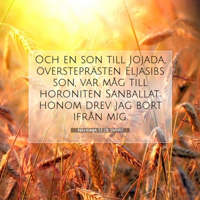 Nehemja 13:28 SV1917 Bild av bibelvers