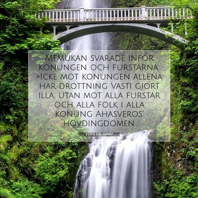 Ester 1:16 SV1917 Bild av bibelvers