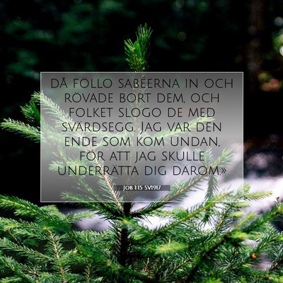 Job 1:15 Bibelvers Förklarad
