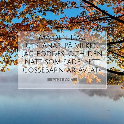 Job 3:3 SV1917 Bild av bibelvers
