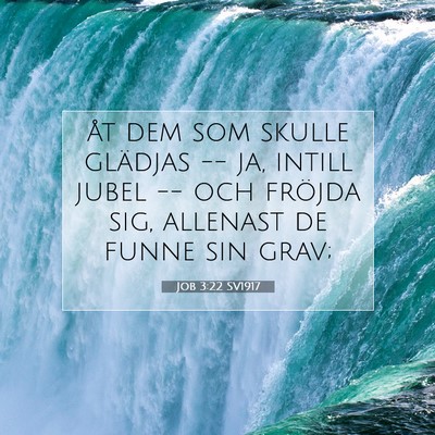 Job 3:22 Bibelvers Förklarad