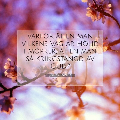 Job 3:23 SV1917 Bild av bibelvers