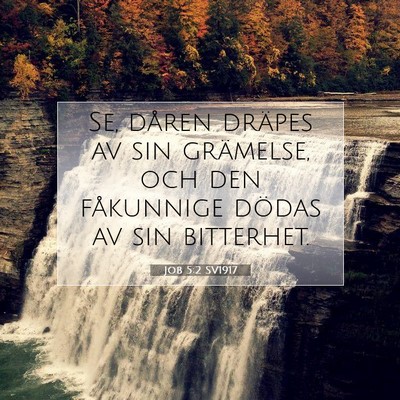 Job 5:2 SV1917 Bild av bibelvers