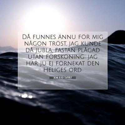 Job 6:10 Bibelvers Förklarad