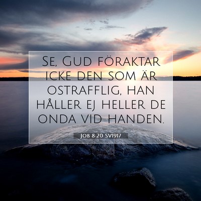 Job 8:20 SV1917 Bild av bibelvers