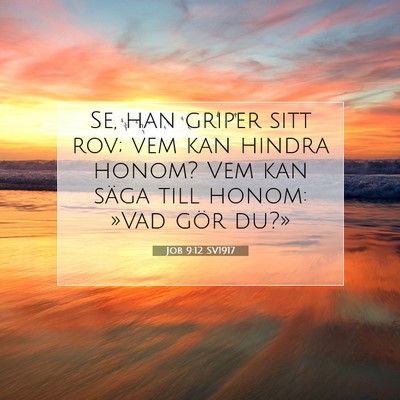 Job 9:12 SV1917 Bild av bibelvers