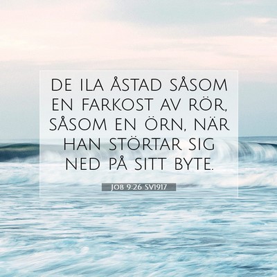 Job 9:26 SV1917 Bild av bibelvers