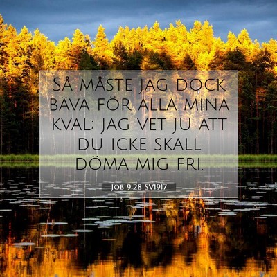 Job 9:28 Bibelvers Förklarad
