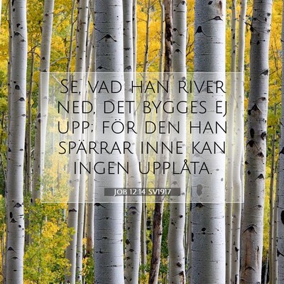 Job 12:14 SV1917 Bild av bibelvers