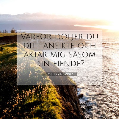 Job 13:24 SV1917 Bild av bibelvers