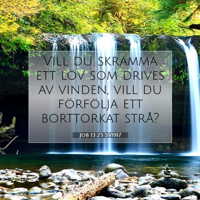 Job 13:25 SV1917 Bild av bibelvers