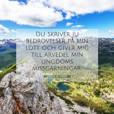 Job 13:26 SV1917 Bild av bibelvers