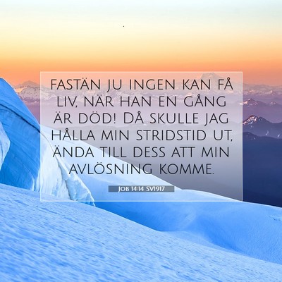 Job 14:14 SV1917 Bild av bibelvers