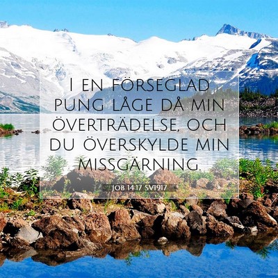 Job 14:17 Bibelvers Förklarad