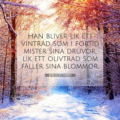 Job 15:33 Bibelvers Förklarad