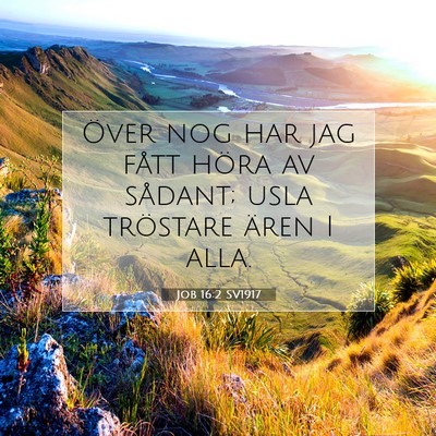 Job 16:2 SV1917 Bild av bibelvers