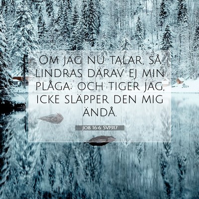 Job 16:6 SV1917 Bild av bibelvers