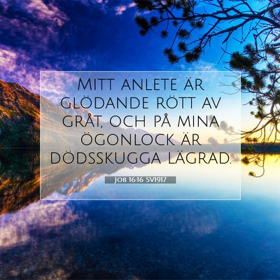 Job 16:16 Bibelvers Förklarad