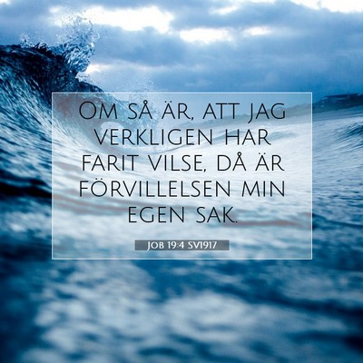 Job 19:4 SV1917 Bild av bibelvers