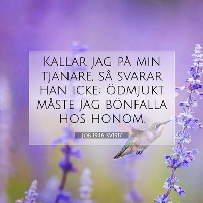 Job 19:16 SV1917 Bild av bibelvers