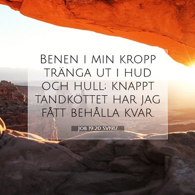 Job 19:20 SV1917 Bild av bibelvers