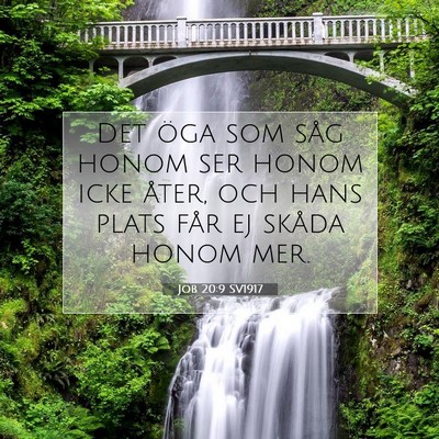 Job 20:9 SV1917 Bild av bibelvers