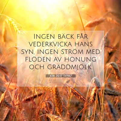 Job 20:17 SV1917 Bild av bibelvers