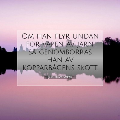 Job 20:24 SV1917 Bild av bibelvers