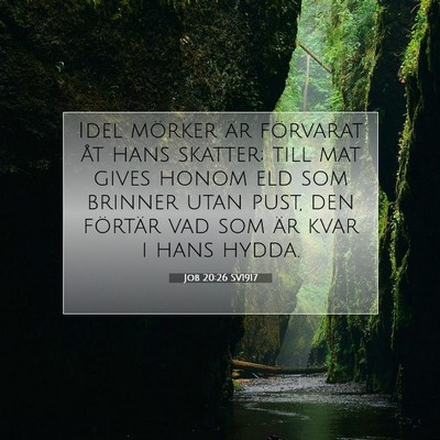 Job 20:26 SV1917 Bild av bibelvers