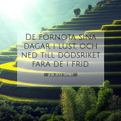 Job 21:13 SV1917 Bild av bibelvers