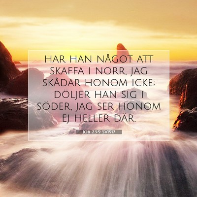 Job 23:9 Bibelvers Förklarad