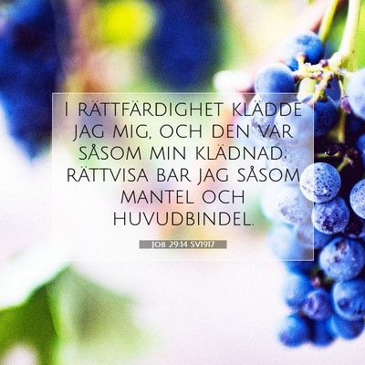 Job 29:14 SV1917 Bild av bibelvers