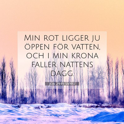 Job 29:19 Bibelvers Förklarad