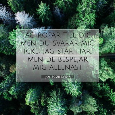 Job 30:20 SV1917 Bild av bibelvers