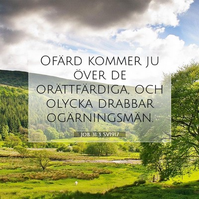 Job 31:3 Bibelvers Förklarad