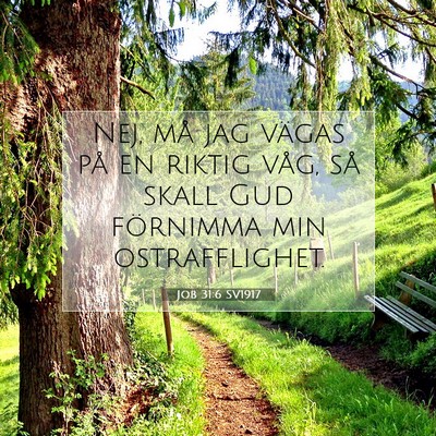 Job 31:6 SV1917 Bild av bibelvers