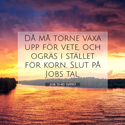 Job 31:40 SV1917 Bild av bibelvers