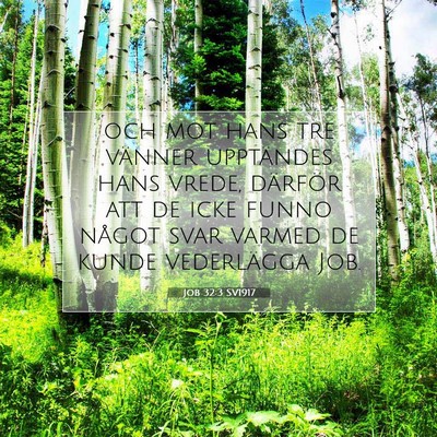 Job 32:3 Bibelvers Förklarad