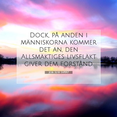 Job 32:8 SV1917 Bild av bibelvers